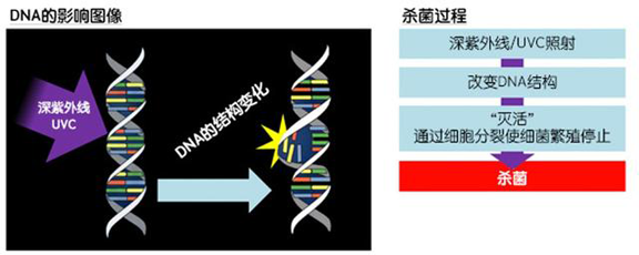 消費(fèi)者開始關(guān)注到車載空氣凈化器，原來(lái)如此重要