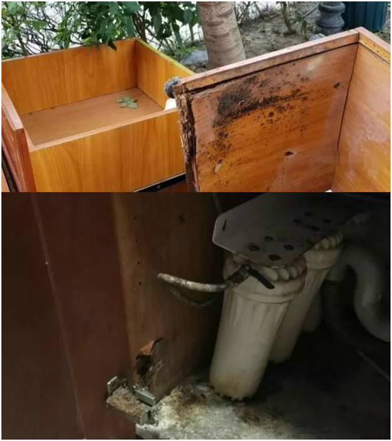 蒙蒂尼不銹鋼櫥柜，讓廚房告別梅雨季