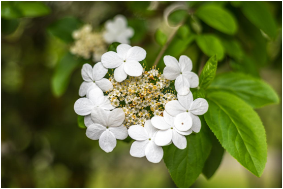 美特照明：與您細(xì)賞燈影里的春暖花開(kāi)